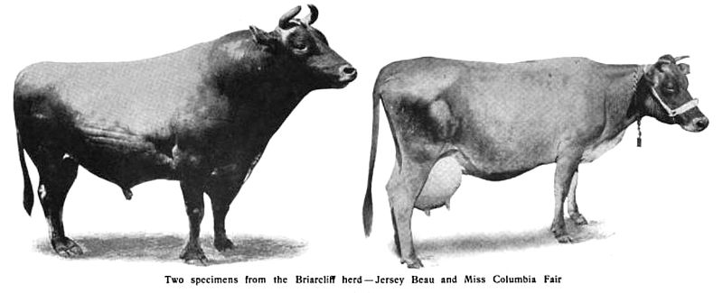 File:Briarcliff Farms specimens.jpg