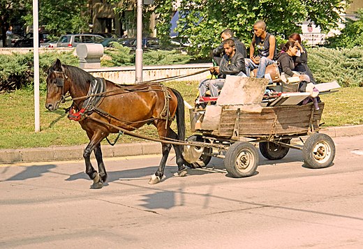 Een groep Bulgaarse Roma met paard en wagen