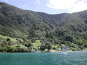 Photographie vue depuis un bateau d'une côte en forte pente couverte d'une forêt dense vec quelques habitations en partie basse.