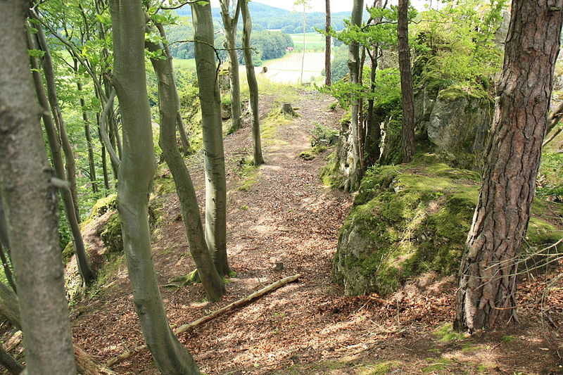 File:Burgstall Strahlenfels01.jpg