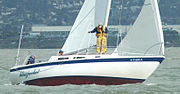 Thumbnail for Cal Yachts