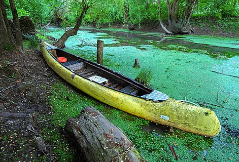 Canoe in abandoned channel, river Ljubljanica