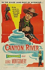 Thumbnail for Canyon River (film)