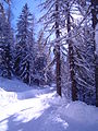 Chamonix-Mont-Blanc -- De Montroc au Planet