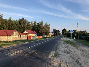 Одна з центральних вулиць села (Пролетарська) липень 2018