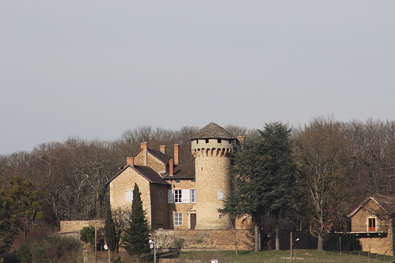 File:Chozeau - Château de Poizieu-003.JPG