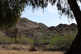 کوههای Chuckwalla از Corn Springs.jpg