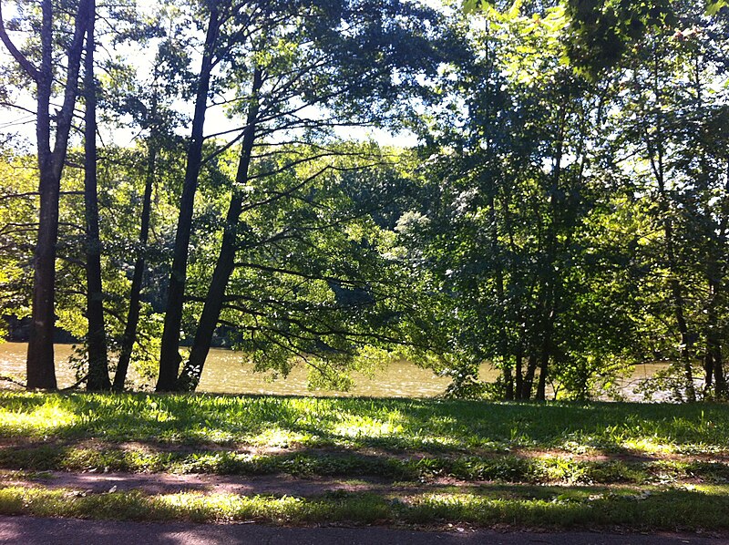 File:Clove lakes park trees.JPG