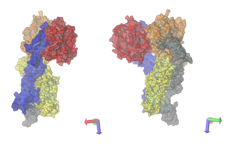 File:Coagulation factors 1NL8.png