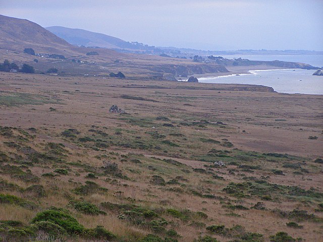 File:Coastalprairieabovegoatrockarea.jpg