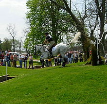 A "coffin:" a cross-country combination which incorporates change in terrain, striding, and different types of obstacles Coffin fence.jpg