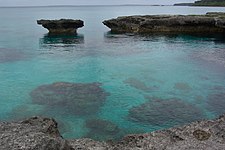 Кораловий риф біля узбережжя Ліфу