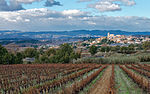 Vignette pour Coteaux-de-béziers