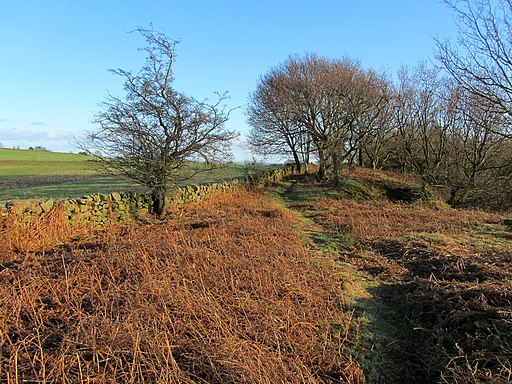 Corner of Picking Gill Nature Reserve - geograph.org.uk - 2780496