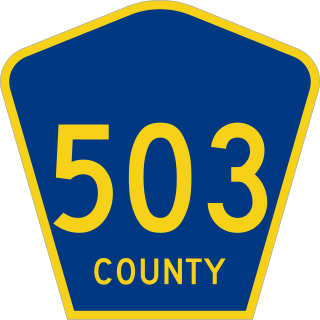 <span class="mw-page-title-main">County Route 503 (New Jersey)</span> Road in Bergen County, New Jersey