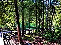 Crawford Lake Conservation Area- Crawford Lake- Milton- Ontario (1).jpg