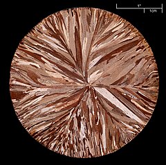 The macrostructure of continuously cast copper (99.95% pure), etched, [?] [?] 83 mm. Cu-Scheibe.JPG