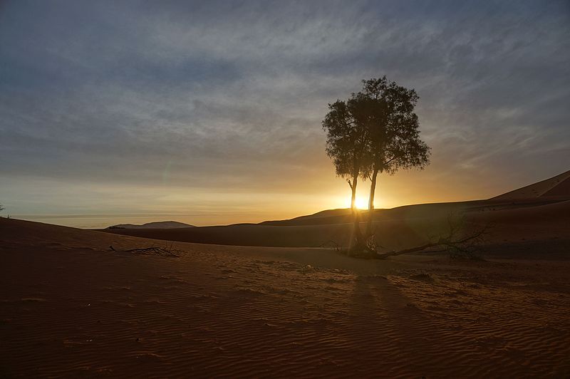 File:Désert de merzouga.jpg