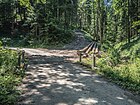 Delswil bridge (847 m above sea level) over the Glatt, Schwellbrunn AR 20190704-jag9889.jpg