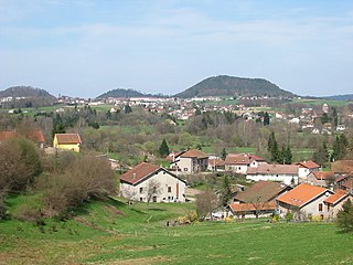 Canton of Bruyères Canton in Grand Est, France