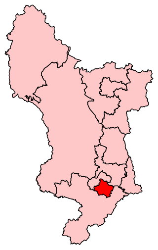 <span class="mw-page-title-main">Derby South (UK Parliament constituency)</span> UK Parliament constituency since 1950