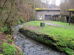 Die Wilde Endert zwischen Ulmen und Müllenbach in der Vulkaneifel