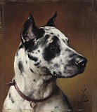 Portrait de chien (sans date)