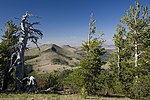 Vue depuis le belvédère de Drake Peak