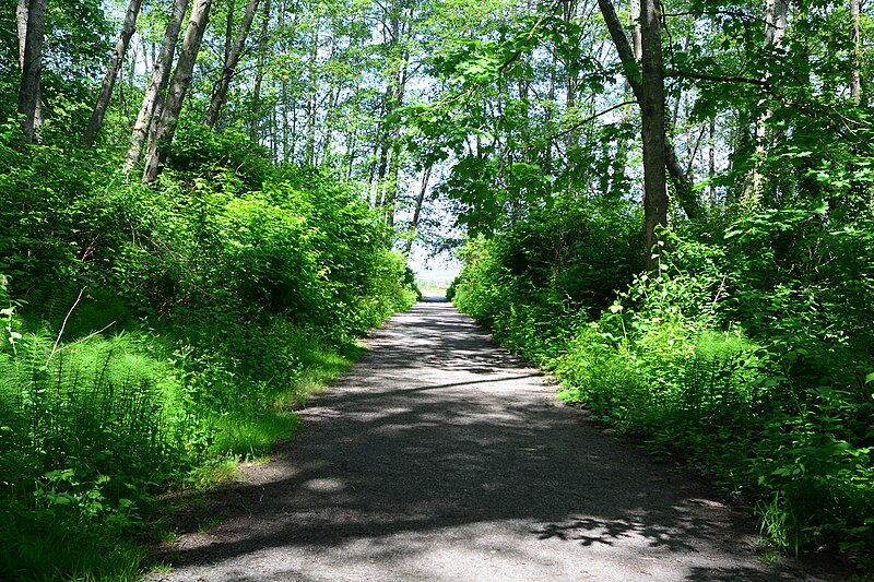 File:Dumas Bay Wildlife Sanctuary 01.jpg