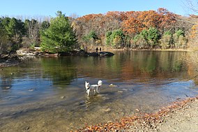 Eagle Pond, държавен парк Callahan, Framingham MA.jpg