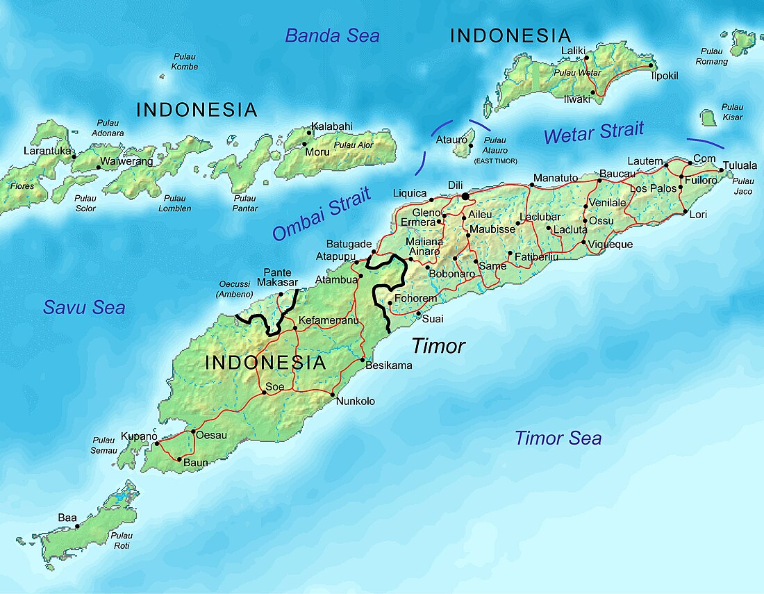 Ocupação indonésia de Timor-Leste