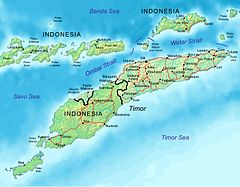 East Timor map mhn.jpg