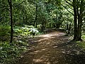 2019年8月21日 (水) 19:27時点における版のサムネイル