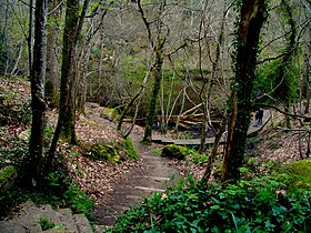 Illustrasjonsbilde av artikkelen Traouïero Valley