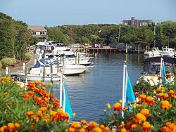 Fire Island Pines Shot 1.jpg