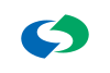 نشان رسمی Ichinoseki