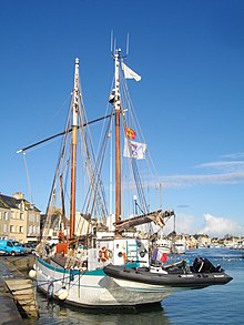 Fleur de Lampaul 3155.jpg