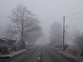 Foggy moments - panoramio.jpg