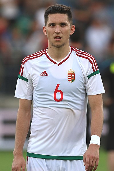 File:Friendly match Austria U-21 vs. Hungary U-21 2017-06-12 (150).jpg