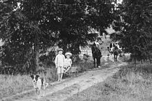 Blue Cattle Dog geht eine Auffahrt entlang vor zwei Jungen mit einem Spielzeugwagen und einem Mann und einer Frau in einem Pferdewagen, 1902