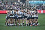 Thumbnail for 2019 Geelong Football Club season