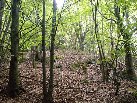 Gefrees Kernhuegel Burgstall Haidenschloss