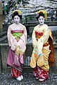 Geisha-sous-sakura-Kyoto