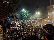 George Floyd police brutality protests - Portland Oregon - July 22 - tedder - 03.jpg