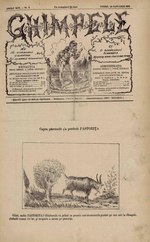Miniatuur voor Bestand:Ghimpele 1878-01-20, nr. 06.pdf