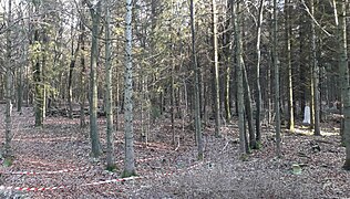 Vue des trois éléments du gibet de Creuë. Le cabaret face au pilori et à la structure des fourches patibulaires. Où l'on remarque une forme de mise en scène.