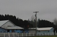Grabhorns Bandara - Scappoose, Oregon.JPG