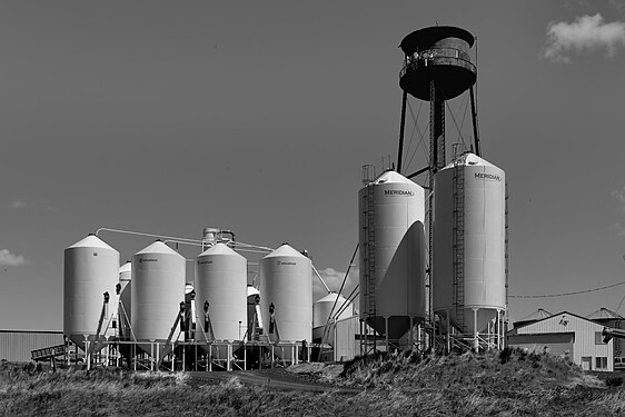 Grain Silos and Water Tower Garfield, Washington, USA