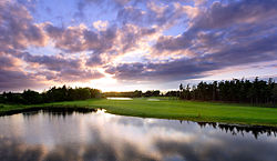 Grand Meadows Golf.jpg