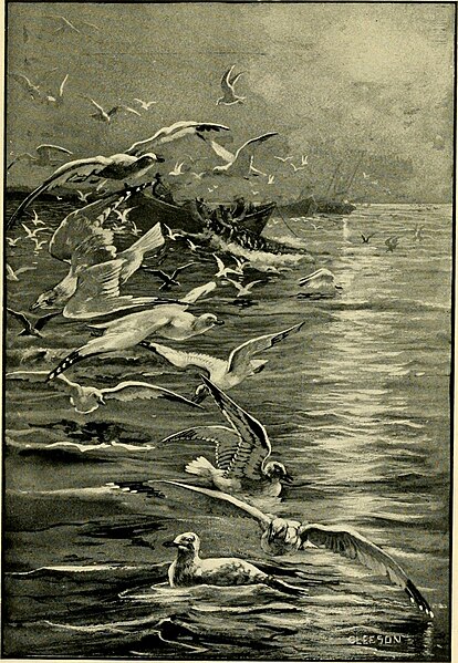 File:Gray lady and the birds; stories of the bird year for home and school (1907) (14753324024).jpg